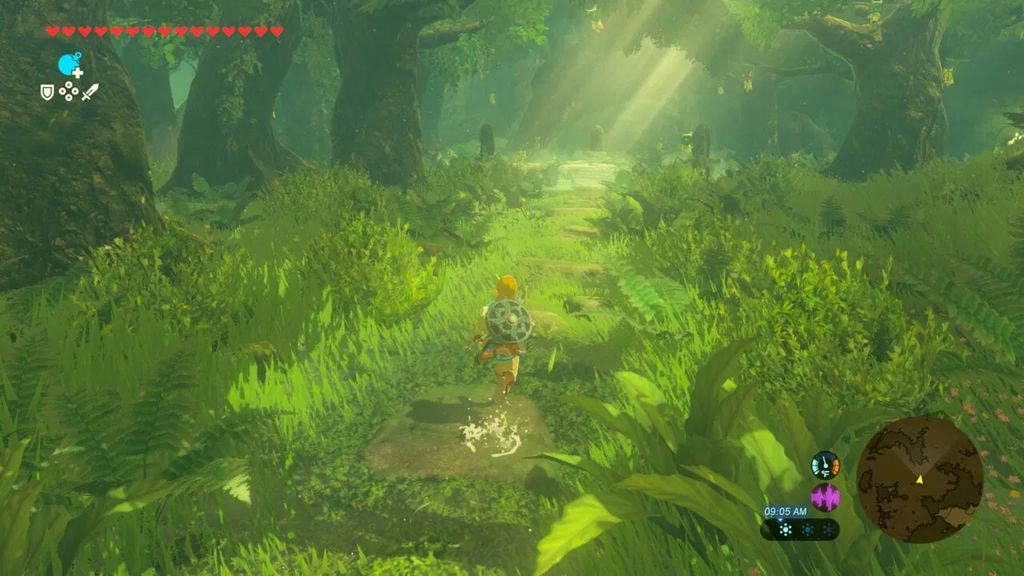 the-legend-of-zelda-breath-of-the-wild-for-nintendo-switch-2-edi-861007.8