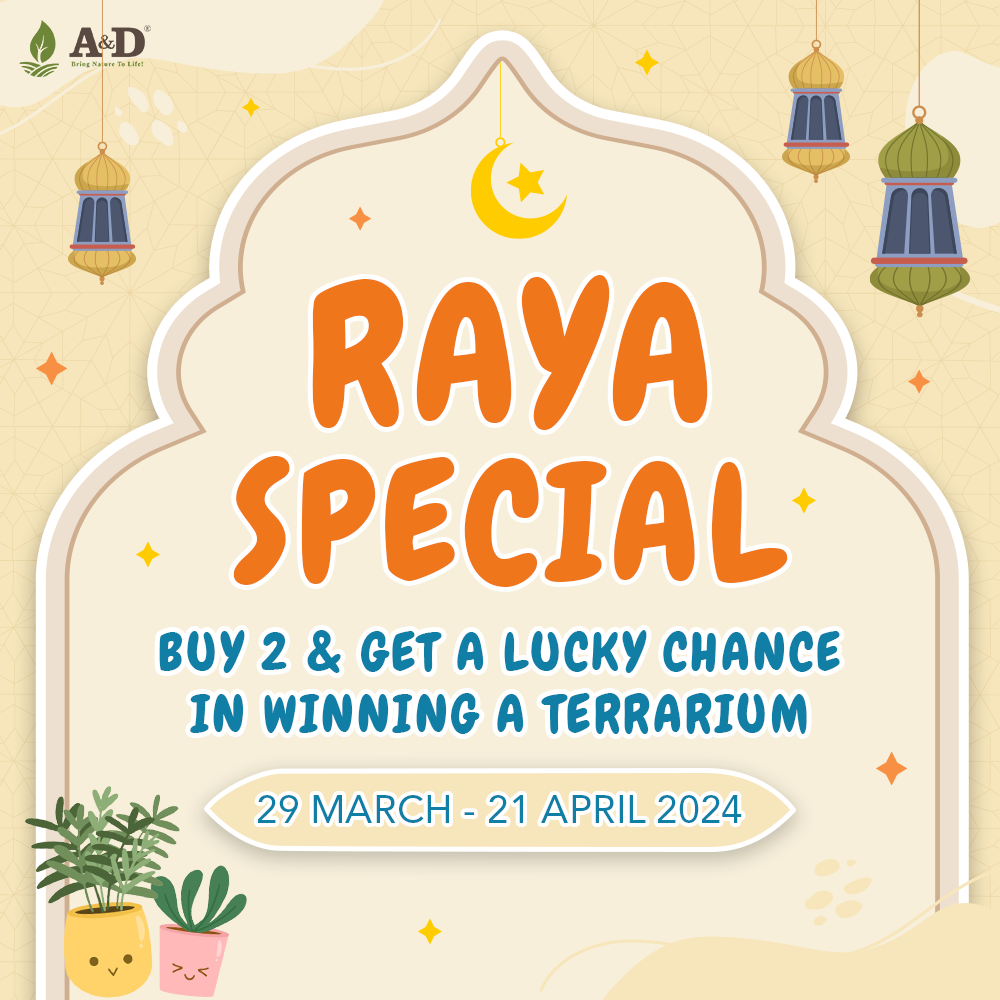 raya special sales 1