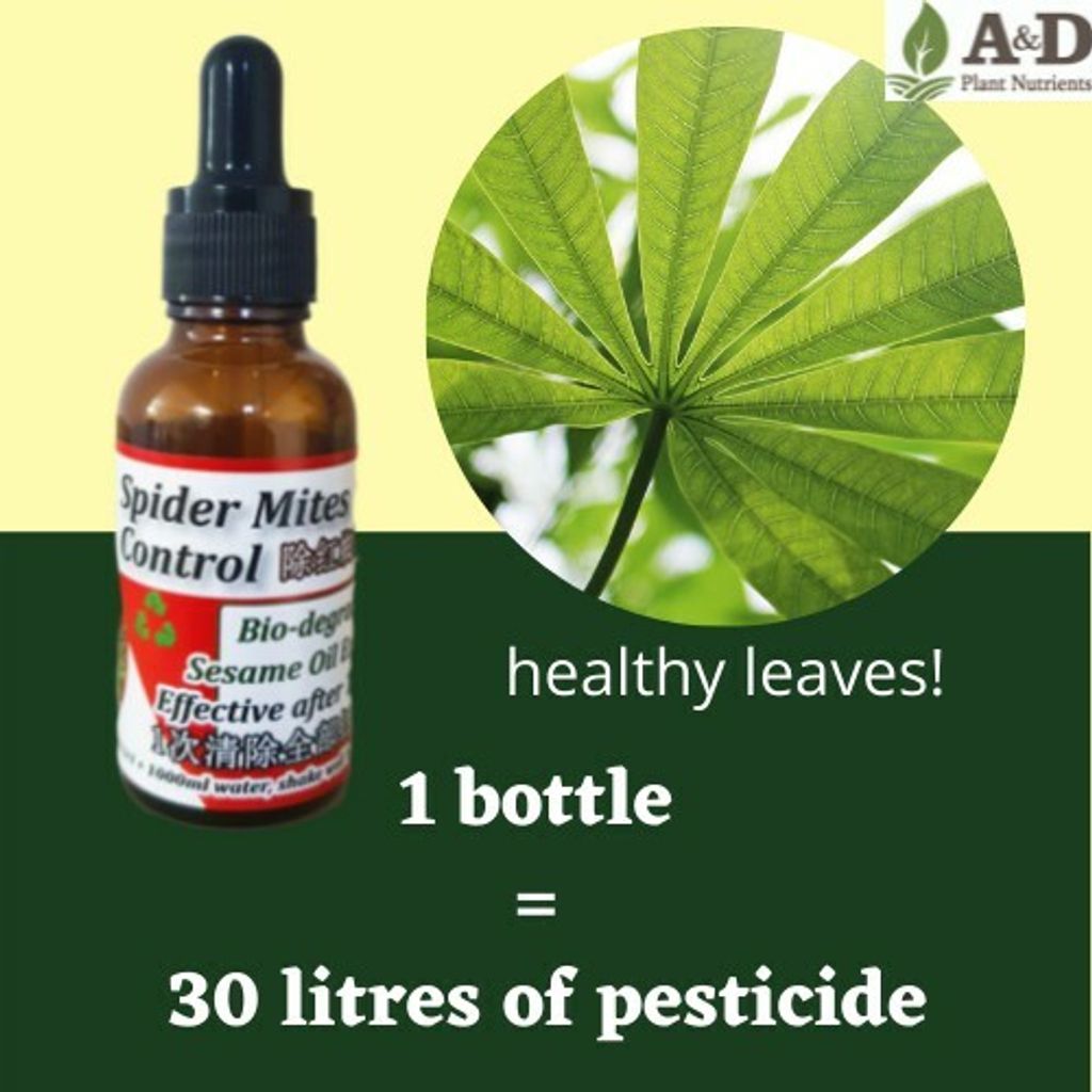 🚫 001 Spider Mites Pest Control 🚫 Organic Plant Insect Repellent Spray