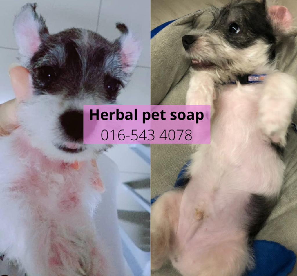 Pet soap before after 3