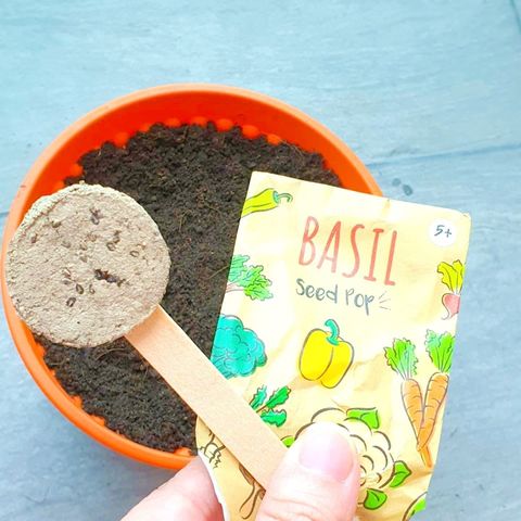 Seed Pop Basil