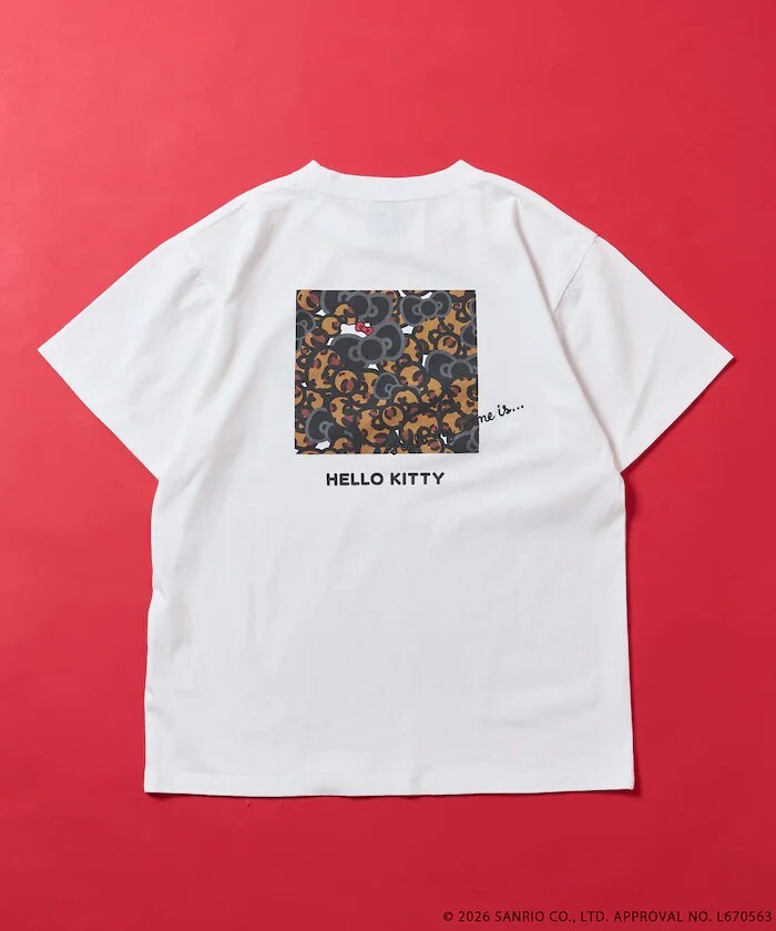 messageImage_1776241597954_0