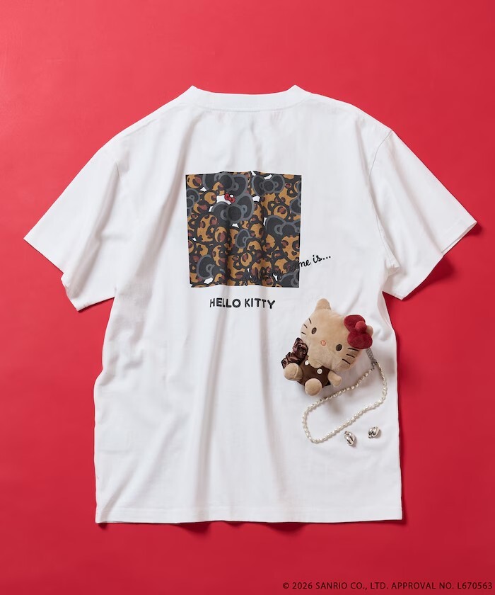 messageImage_1776241424677_0