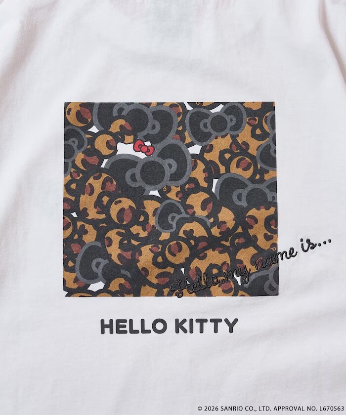 messageImage_1776241605709_0