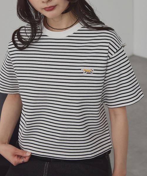 103587178b_10000_d_500