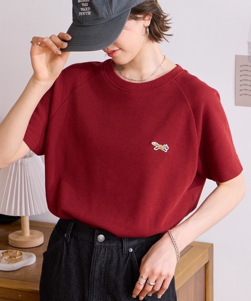 103860987b_290_d_500