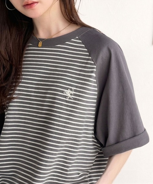 101964582b_365_d_500