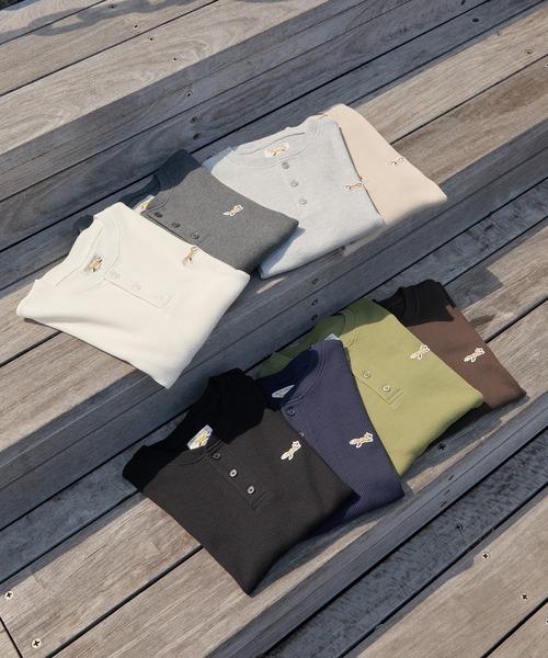 107504278b_b_169_500