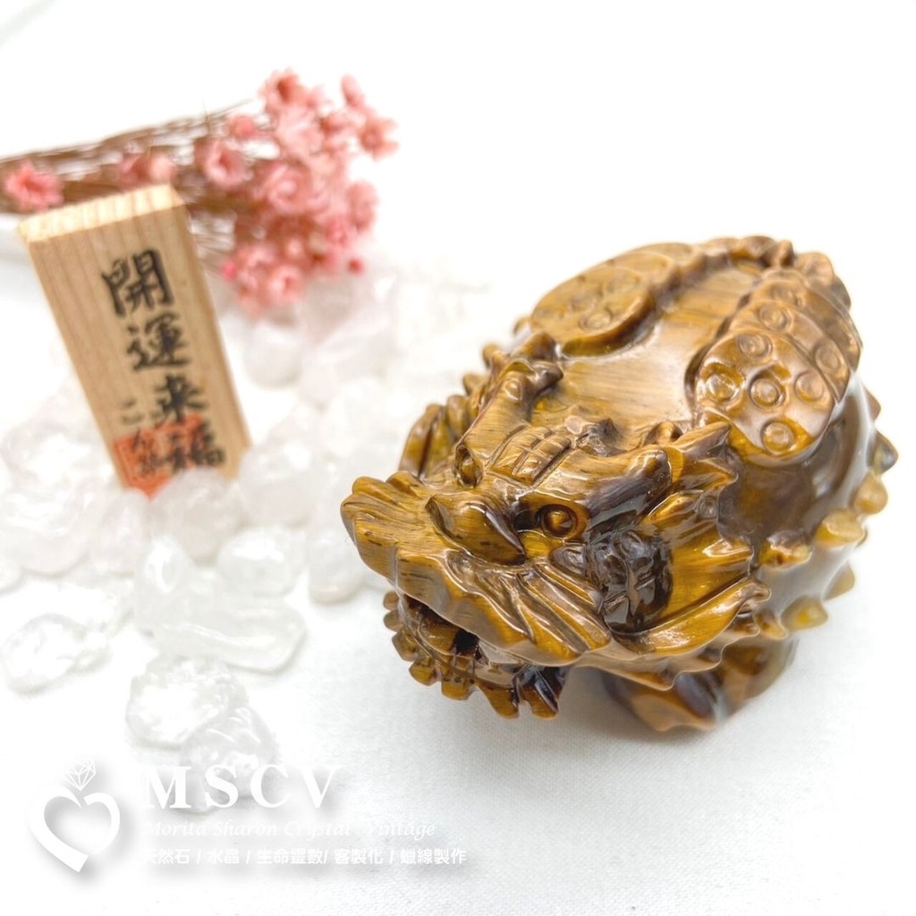 eba558ea57b41057e1f51a562d85fa26