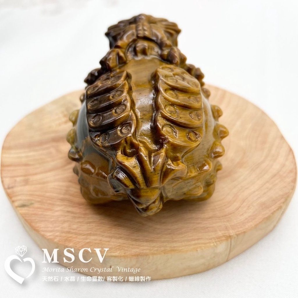 ad020397a3cce6fc454113b3ea7ed9d3