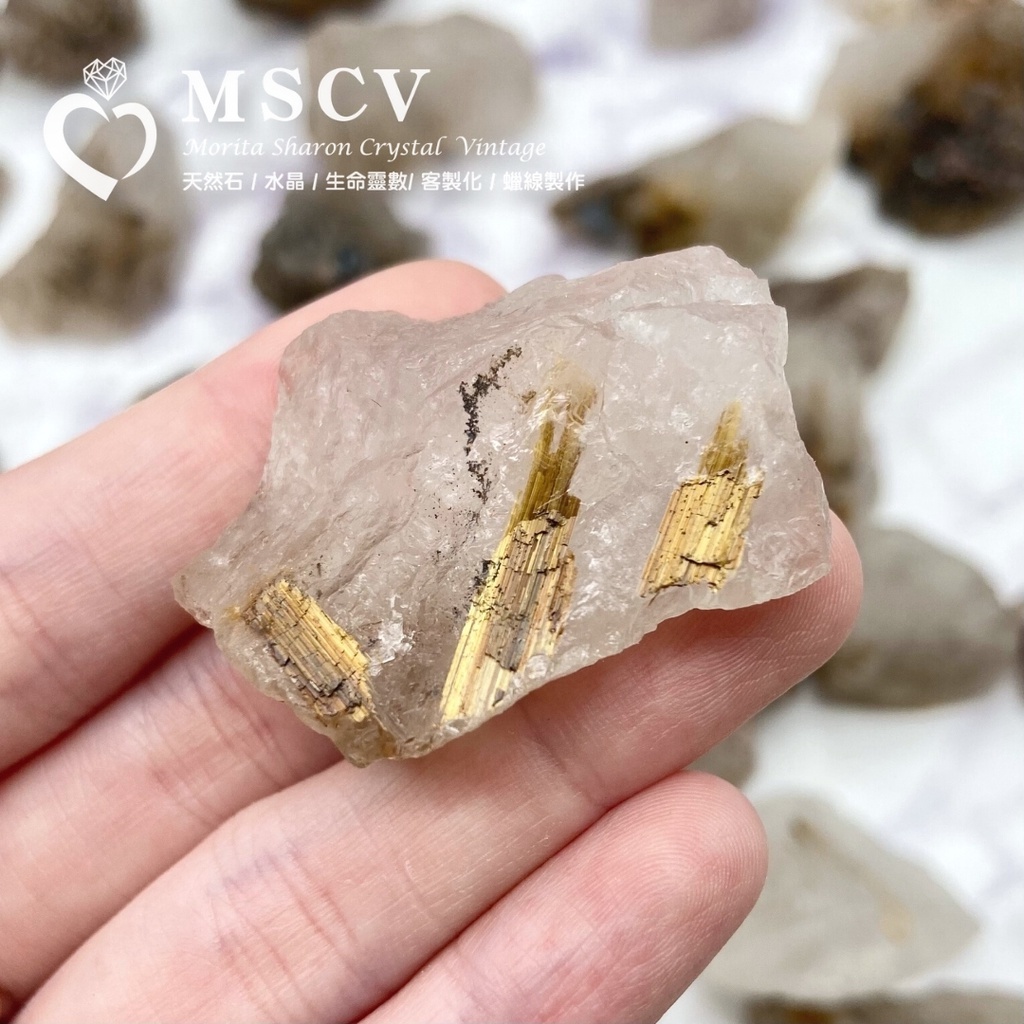 e21b3b1917f23c6fc18406d06beb0ee4