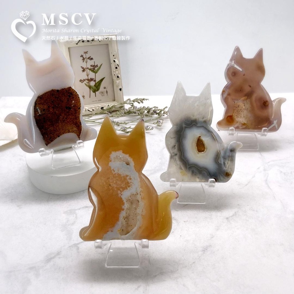 f39d06dafbba87f599bec0ed8751d851