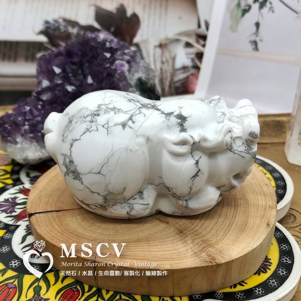 7efe8a182313ef08e03f92c7742e9a7d