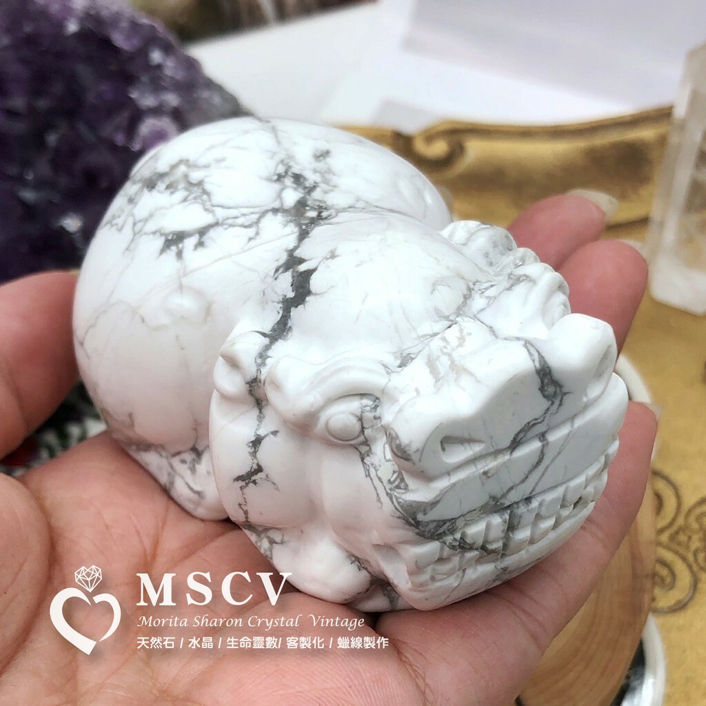 b7a2196771091c55fc67b783cdfa8db1