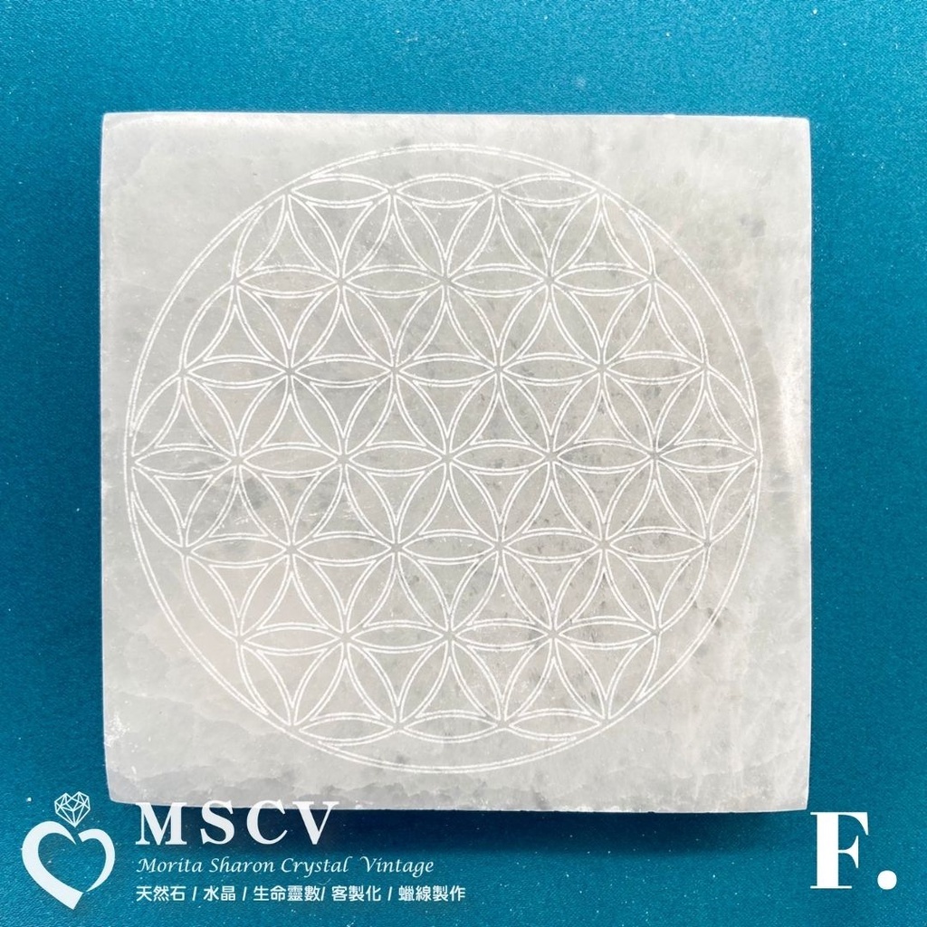 5061a88ea2f0a9d3feec20807365f157