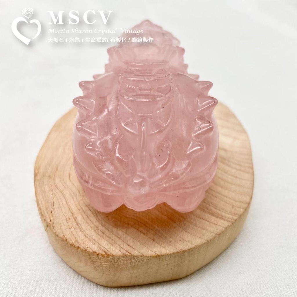 22e6ddceb06a00a27461fd93c06e87dc