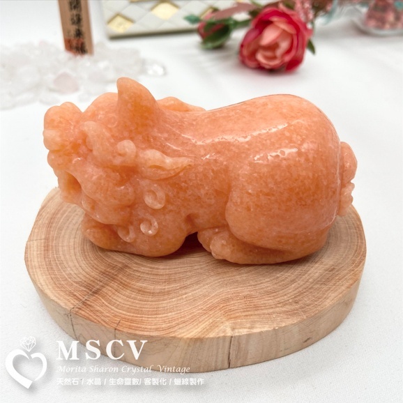 b8496b1ca1f671b41b584b09cc42e4e0