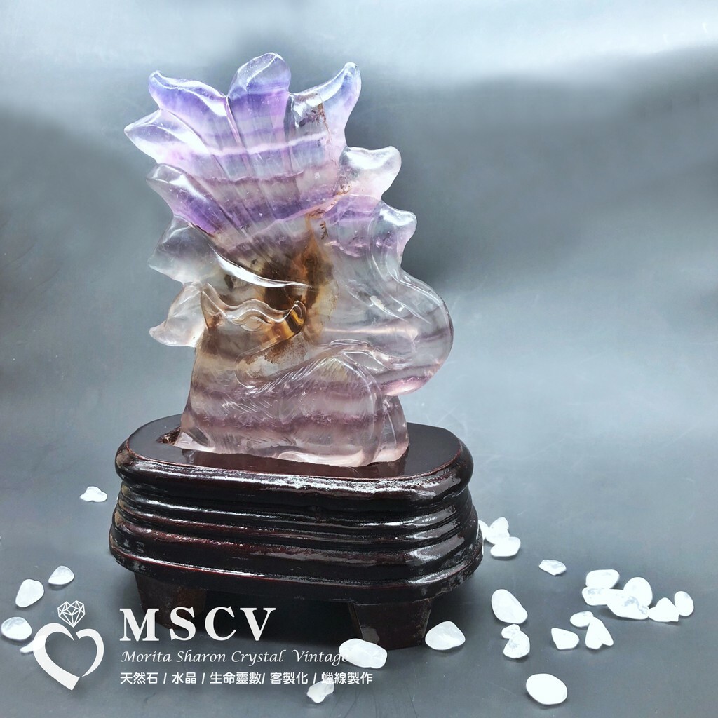 11673f38eed86949f6be53cb50529507