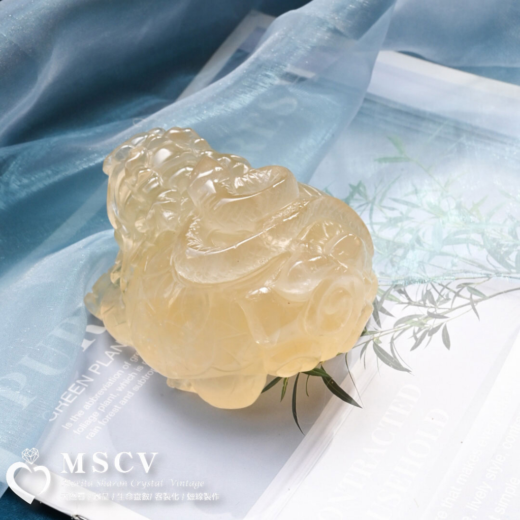 tw-11134207-7qul8-lkaycl5dhaja8e