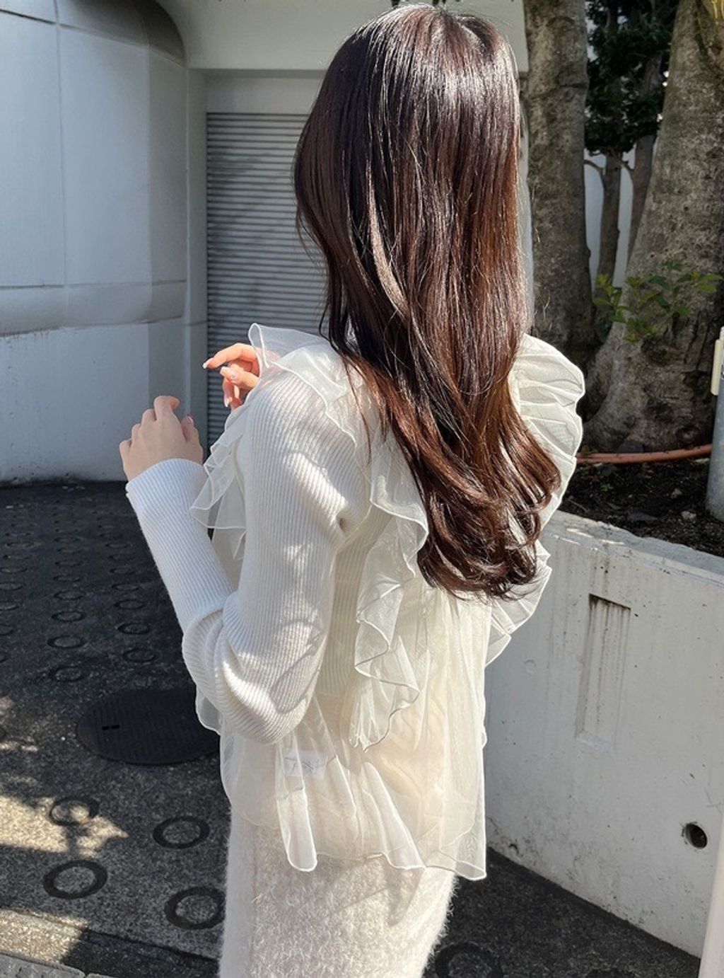 S__247963693_0
