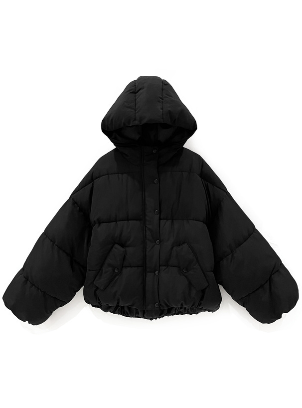 IMG_1956-1732795439834