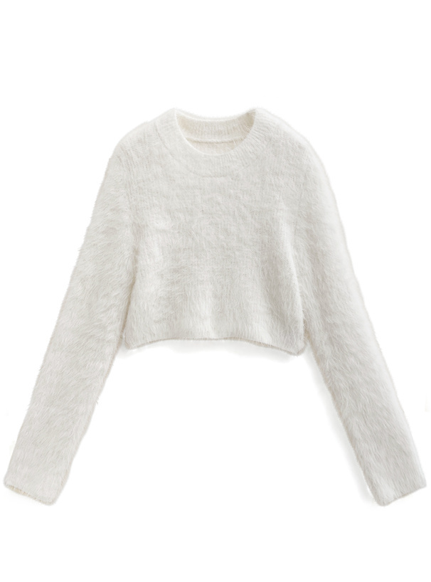 IMG_2318-1733467296351