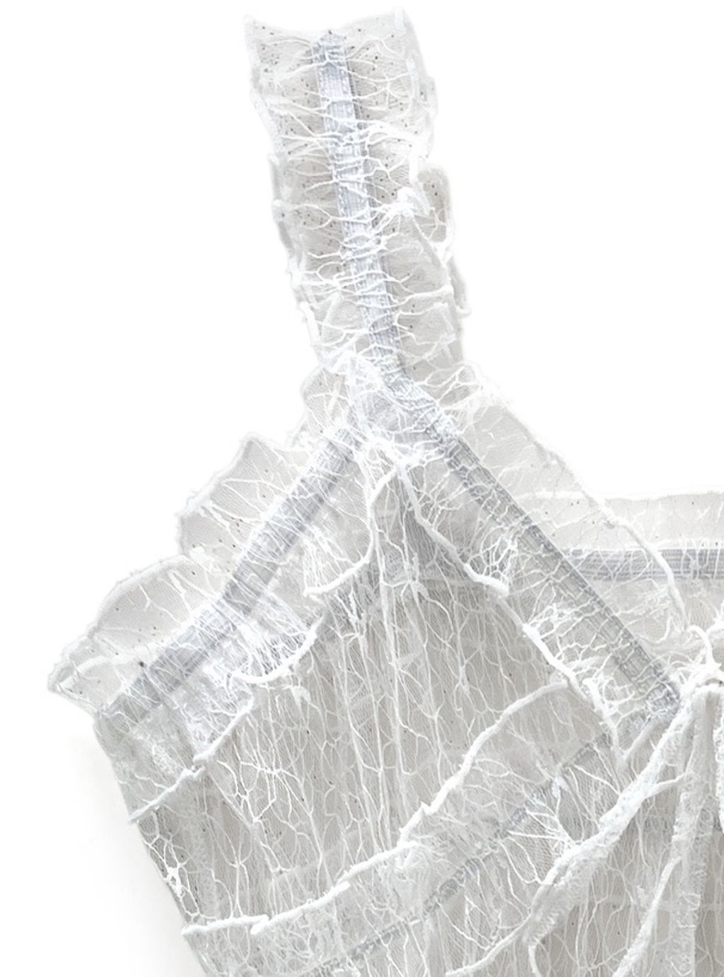 S__296616043_0