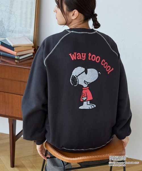 99217310b_10010_d_500