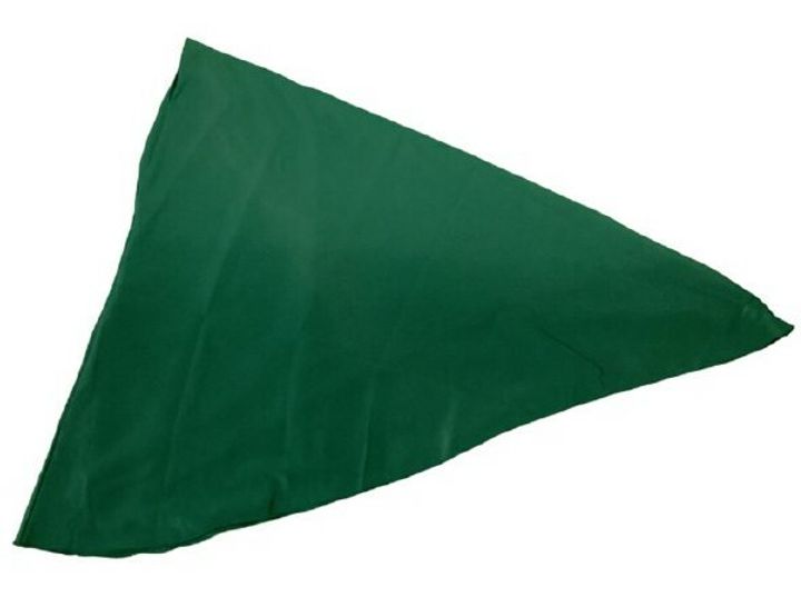 TUDUNG TKRS BANAT