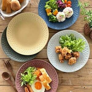 日本製 北歐風 壓花圓盤餐盤餐具  壓花圓盤餐具25.2cm  壓花圓盤餐具16.5cm日本餐具  (8)