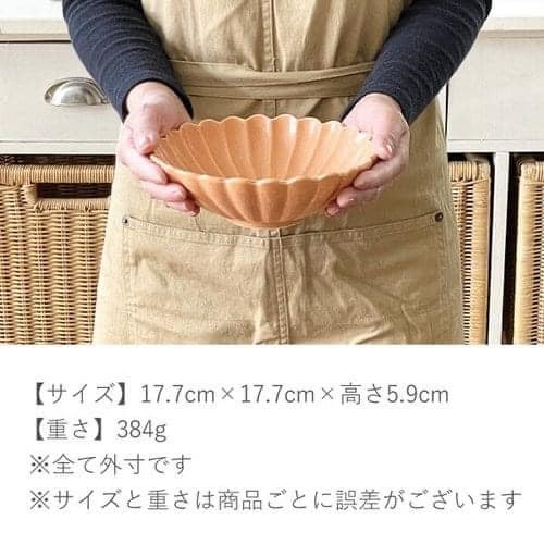 日本製餐具美濃燒瓷器菊形深盤17.7cm日本餐具 (4)
