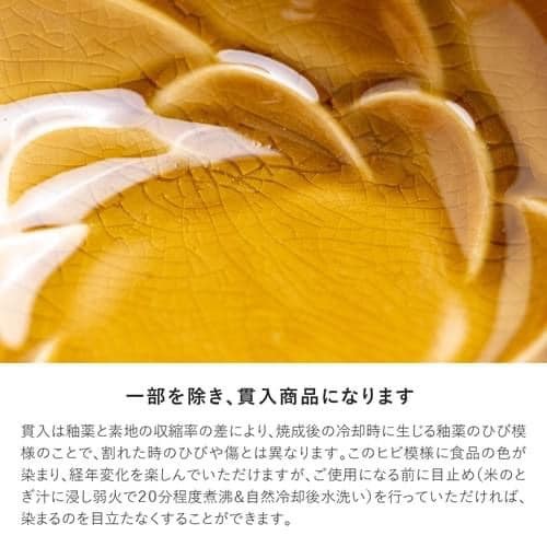 日本製美濃燒日本食器Mell沙拉碗15cm日本瓷器 (2)