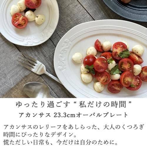 日本製 仿古風不規則圓盤23.3cm 王球餐具美濃燒 (3)
