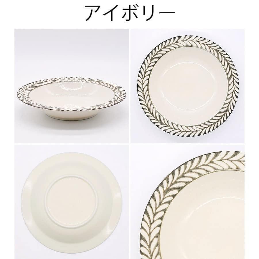 日本製 美濃燒瓷器餐盤羽毛深盤21.4cm王球餐具 (4)