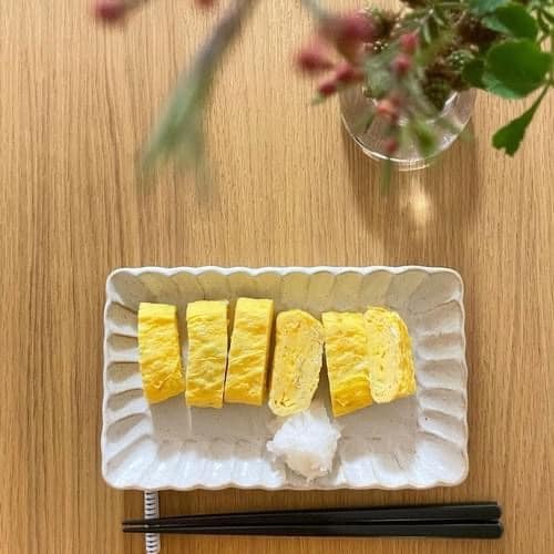日本製shinogi方形陶瓷21cm王球餐具 (4)