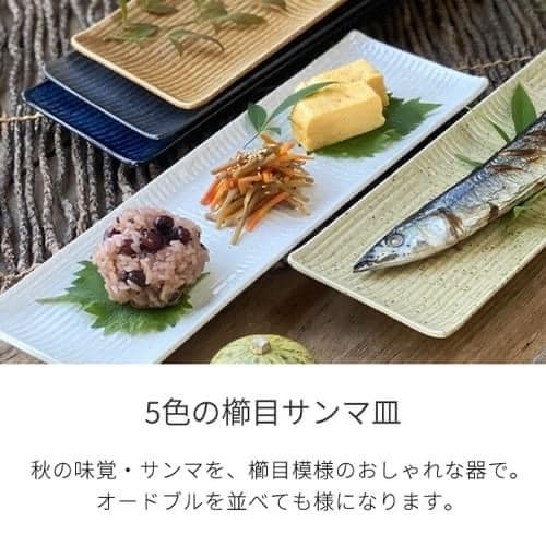 日本製美濃燒長盤33cm王球餐具 (10)
