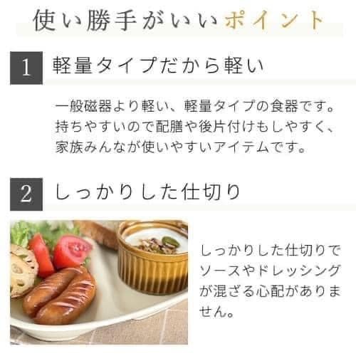 日本製美濃燒兩格餐盤王球餐具 (5)