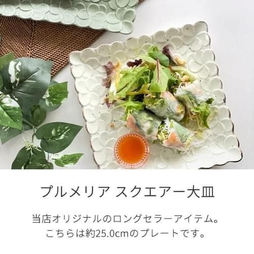 日本瓷器 餐盤美濃燒雞蛋花方盤 日本碗盤 日本盤 王球餐具 (10)