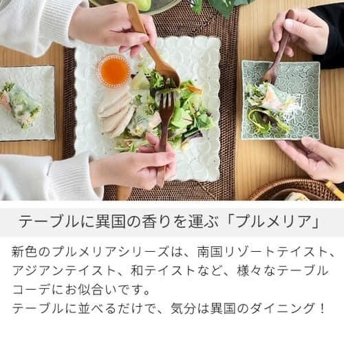 日本瓷器 餐盤美濃燒雞蛋花方盤 日本碗盤 日本盤 王球餐具 (17)