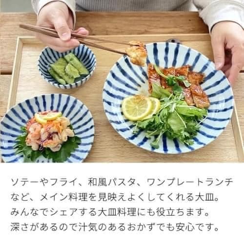 日本瓷器美濃燒食器濃十草餐盤碗皿缽 王球餐具 (5)