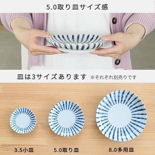 日本瓷器美濃燒食器濃十草餐盤碗皿缽 王球餐具 (7)
