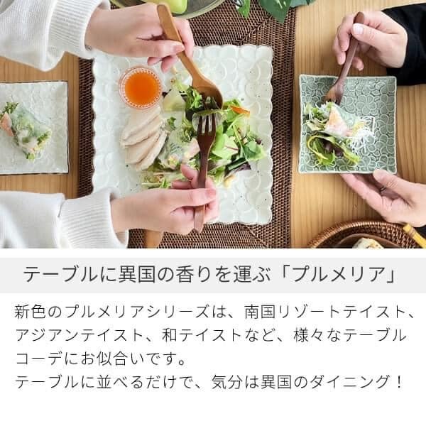 日本瓷器美濃燒餐盤雞蛋花長方盤26.3cm王球餐具 (8)