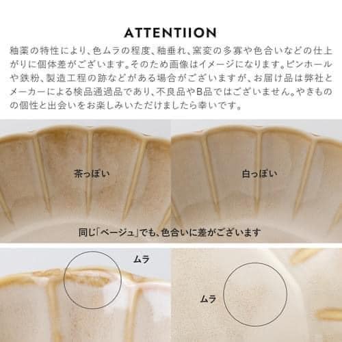 日本餐具Ltsuka菊形餐盤 美濃燒-17深盤-16平盤 (4)