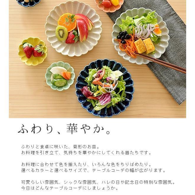 日本餐具 美濃燒瓷器餐盤 日本菊形盤 王球餐具 (3)