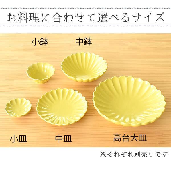日本餐具 美濃燒瓷器餐盤 日本菊形盤 王球餐具 (5)