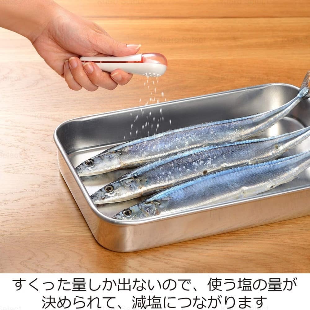 日本餐具 leye廚房用品 不沾手 調味料匙 灑鹽匙 王球餐具 (10)