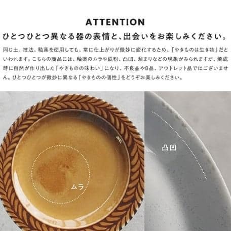 日本餐具 美濃燒瓷器餐盤 羽毛深盤21.4cm 王球餐具 (8)