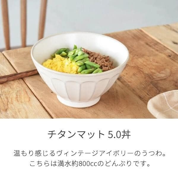日本餐具 美濃燒復古 小缽 飯碗 麵碗 王球餐具 (12)