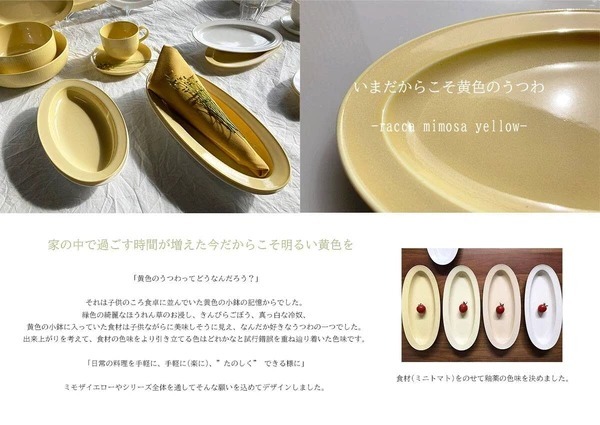 日本餐具 美濃燒美山深餐盤24cm 王球餐具 (9)