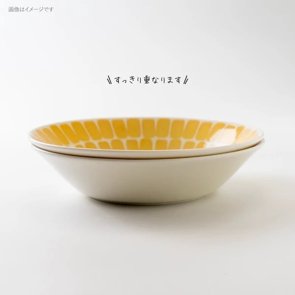 餐具 日本餐盤 美濃燒餐具 Amis深盤22.3cm 王球餐具 (5)